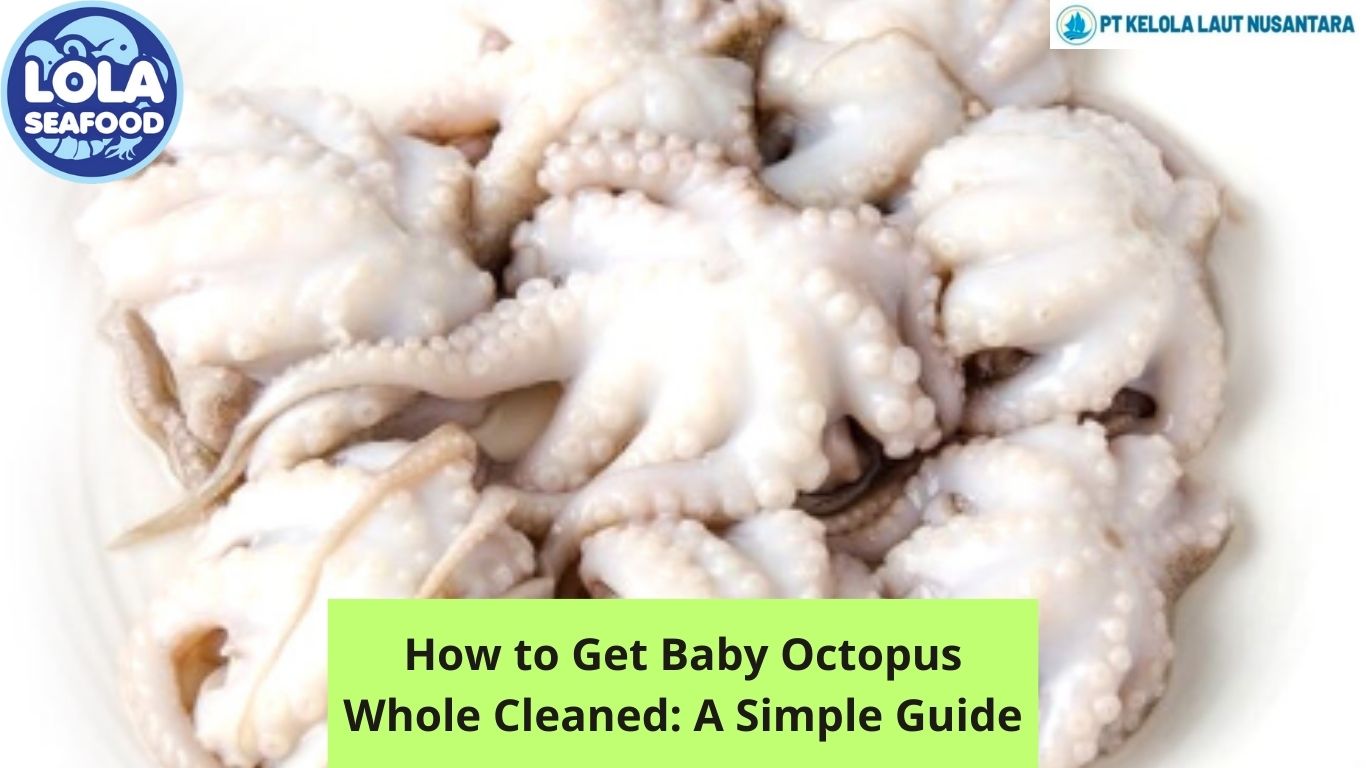 How to Get Baby Octopus Whole Cleaned: A Simple Guide